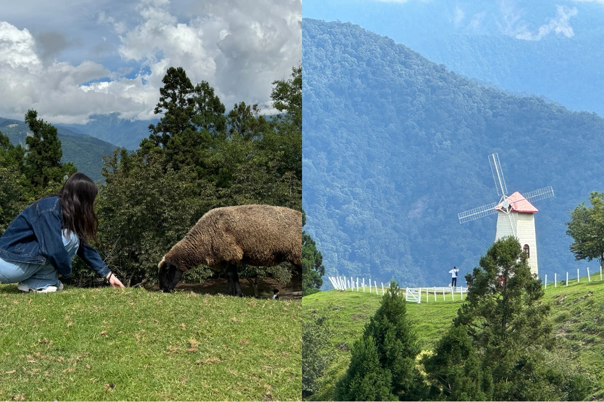 Taiwan Tourist Shuttle Line: Enjoy a Two-Day Trip to Qingjing, Nantou – Explore Mountain Scenery and Starry Skies