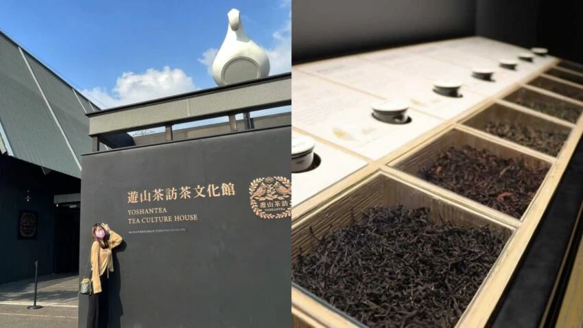 遊山茶訪茶文化館，台灣首座茶體驗觀光工廠｜探訪茶園、品茗、DIY體驗